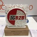 IG B2B Award